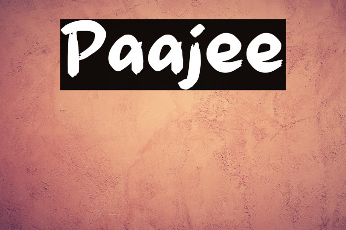 Paajee Example 3