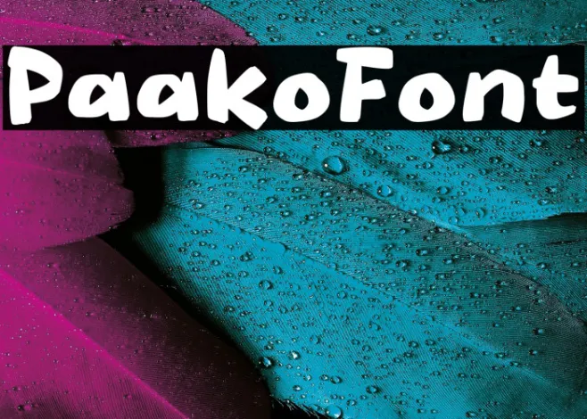 Paako Example 1