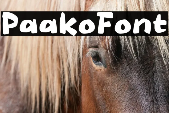 Paako Example 2