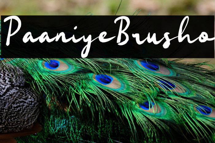 Paaniye Brusho Example 3