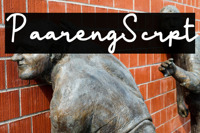 Paareng Script Example 1