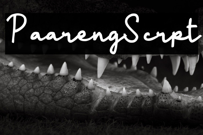 Paareng Script Example 3