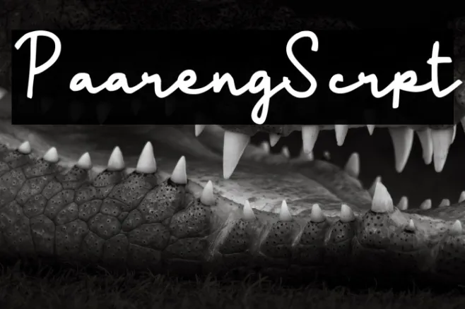 Paareng Script Example 3
