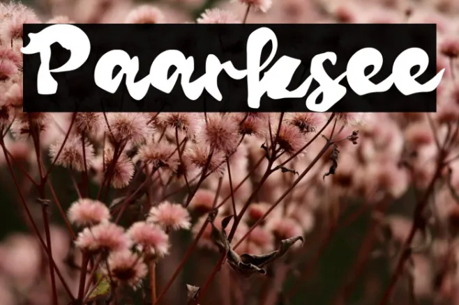 Paarksee Example 1