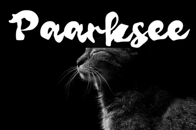 Paarksee Example 3