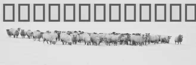 Paarsaa Font examples