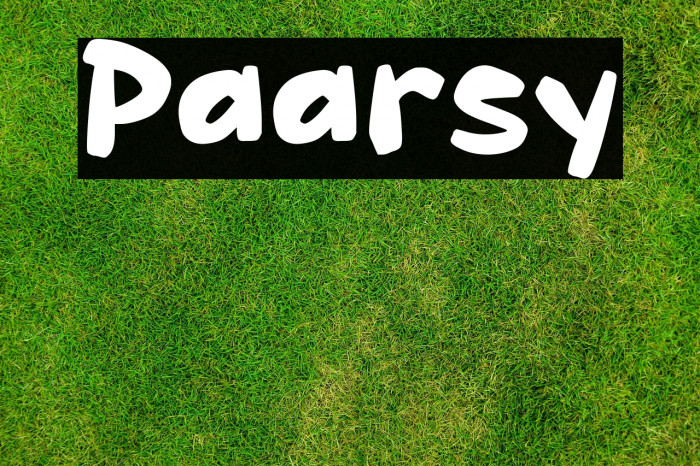 Paarsy Example 1