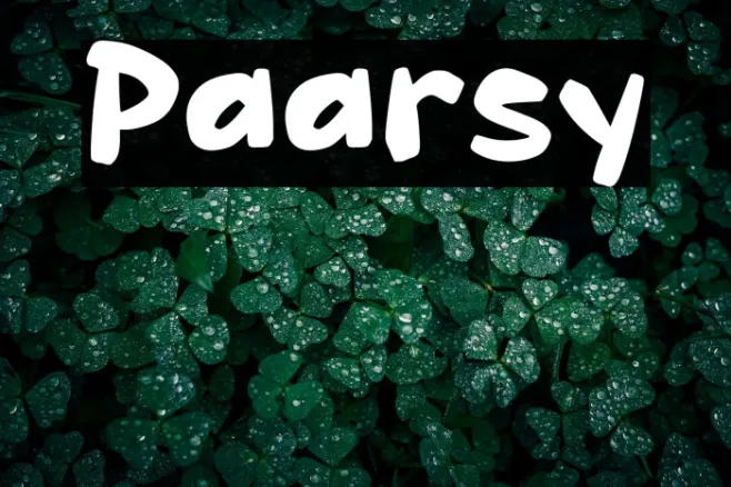 Paarsy Example 2