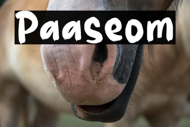 Paaseom Example 3
