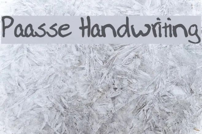 Paasse Handwriting Example 2