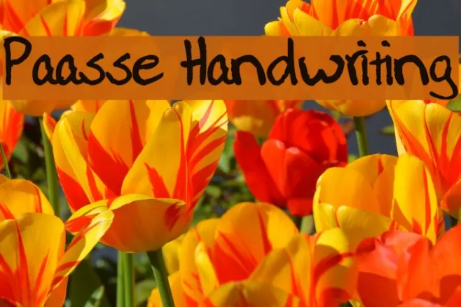 Paasse Handwriting Example 3