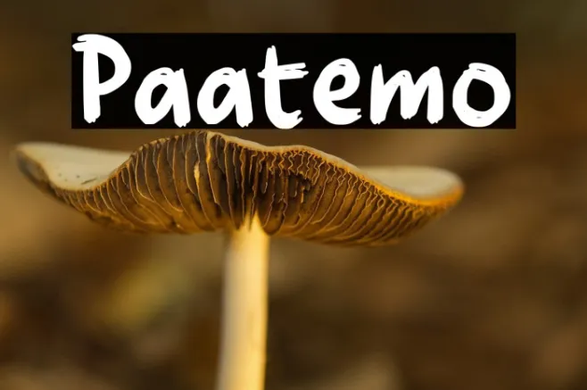 Paatemo Example 1