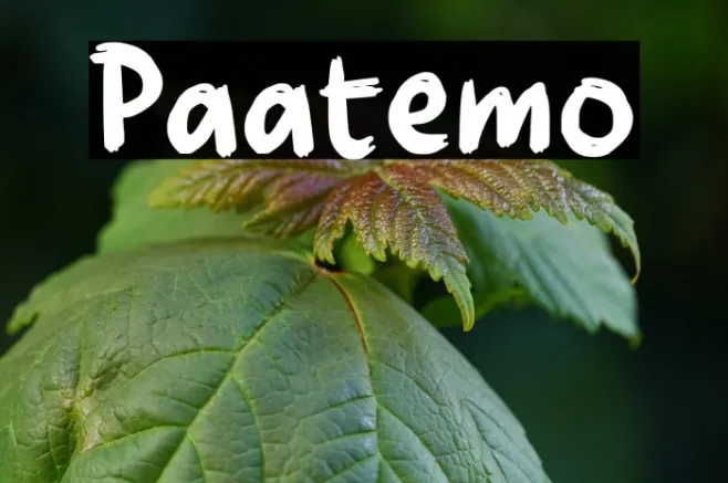 Paatemo Example 3