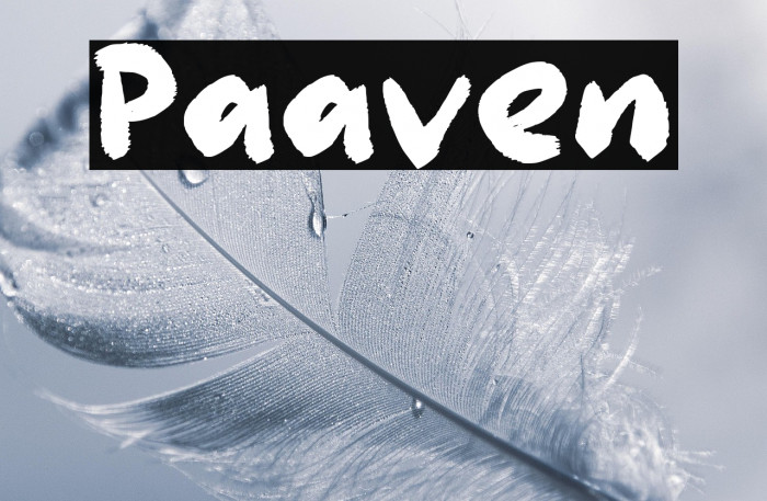 Paaven Example 1