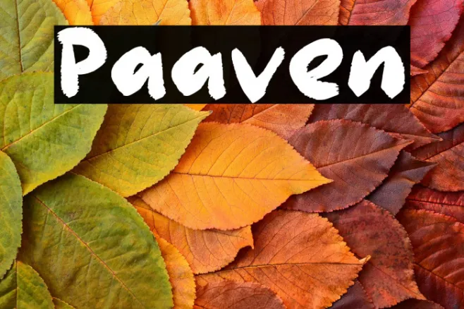 Paaven Example 2