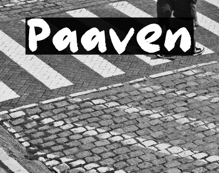 Paaven Example 3
