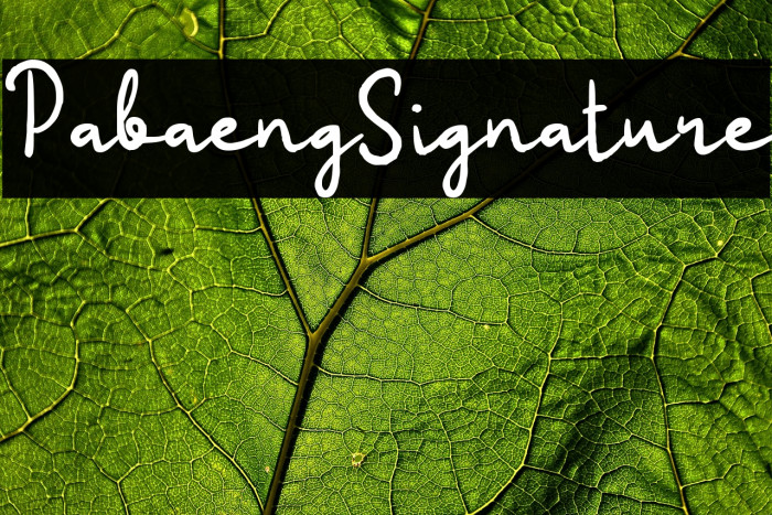 Pabaeng Signature Example 2