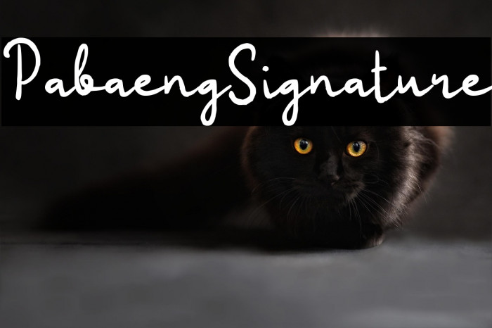 Pabaeng Signature Example 3
