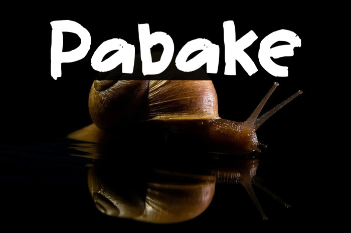Pabake Example 1