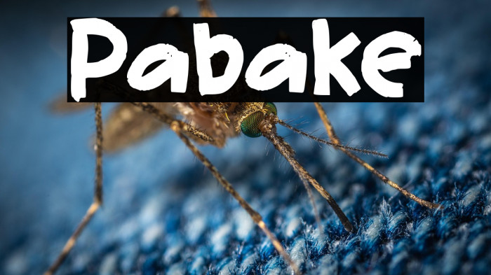 Pabake Example 3