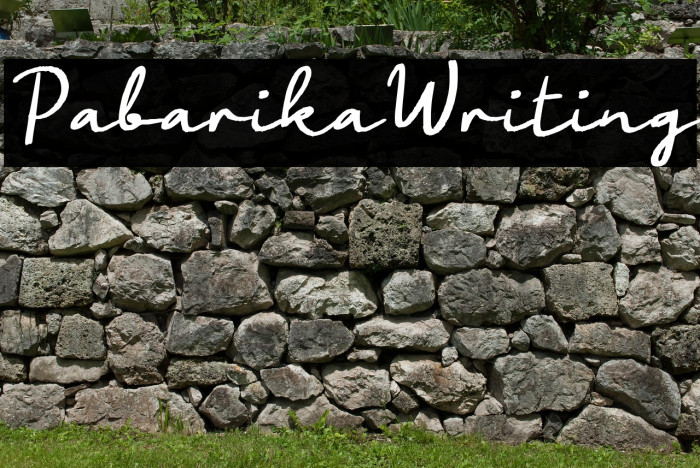 Pabarika Writing Example 2