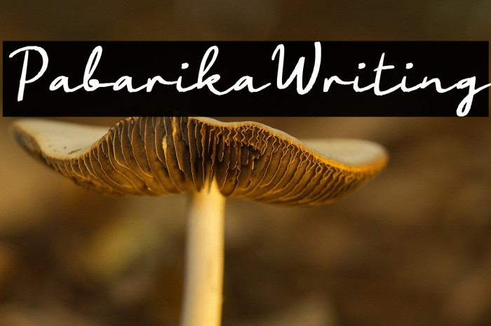 Pabarika Writing Example 3