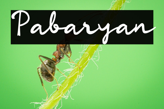 Pabaryan Example 1