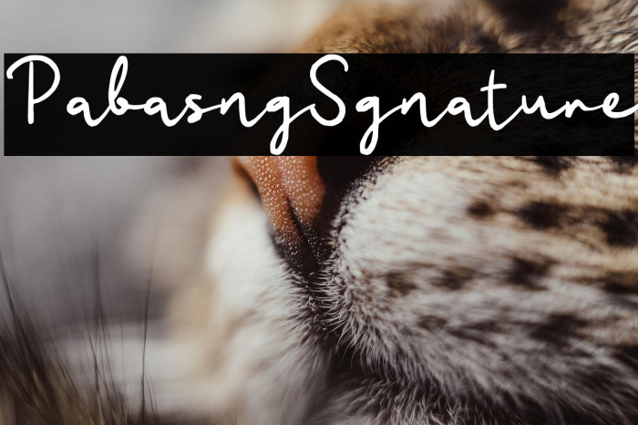 Pabasing Signature Example 2