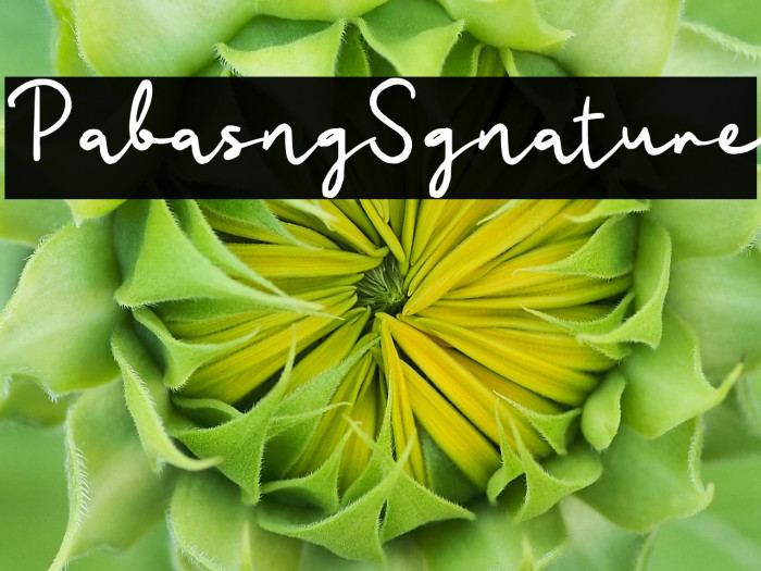 Pabasing Signature Example 3