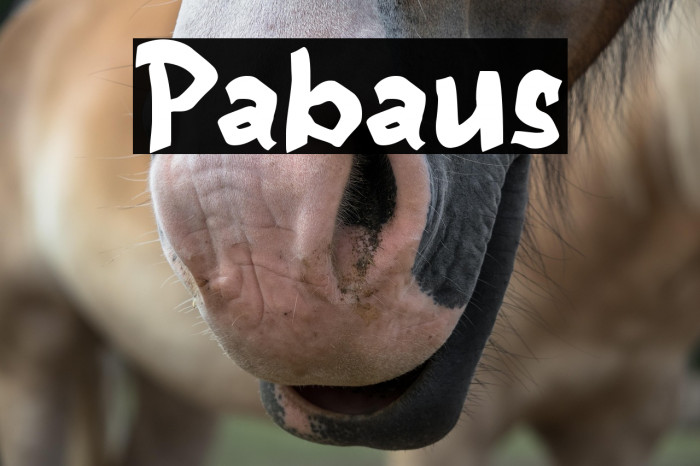 Pabaus Example 1