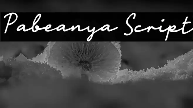 Pabeanya Script خط examples