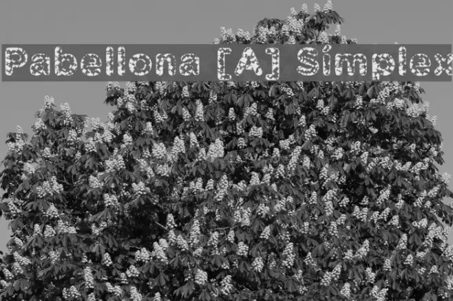 Pabellona [A] Símplex फ़ॉन्ट examples