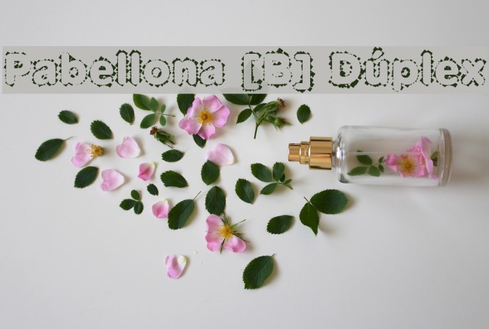 Pabellona [B] Dúplex Font examples