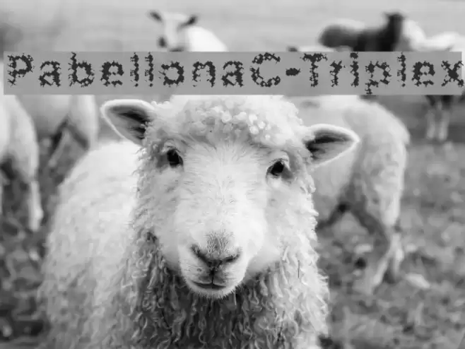 PabellonaC-Triplex フォント examples