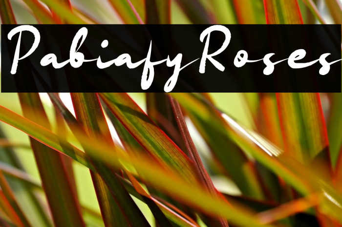 Pabiafy Roses Example 1