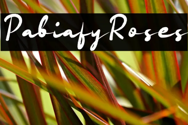 Pabiafy Roses Example 1