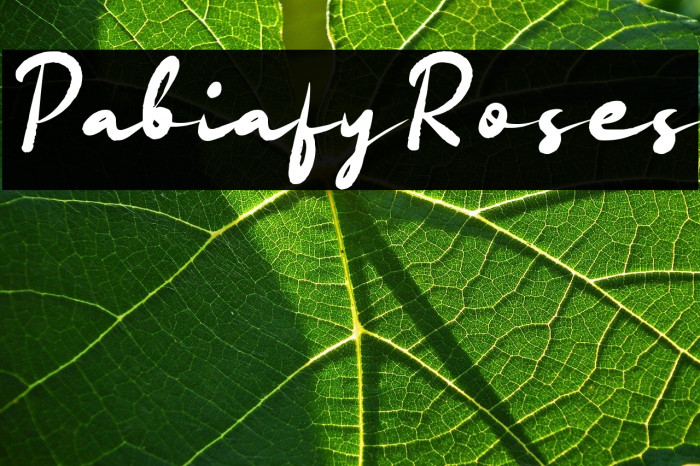 Pabiafy Roses Example 2