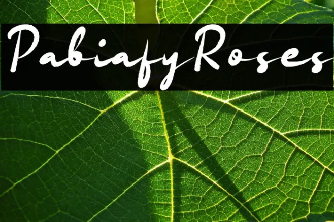 Pabiafy Roses Example 2