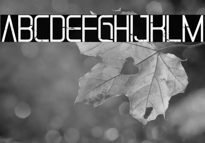 Pablo Killer Font examples