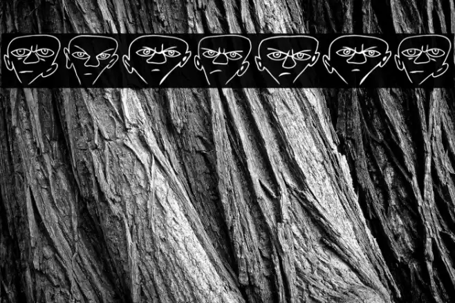 Pablo Regular Font examples