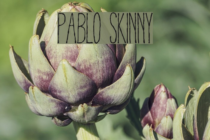 Pablo Skinny Font examples