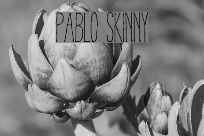 Pablo Skinny Шрифта examples