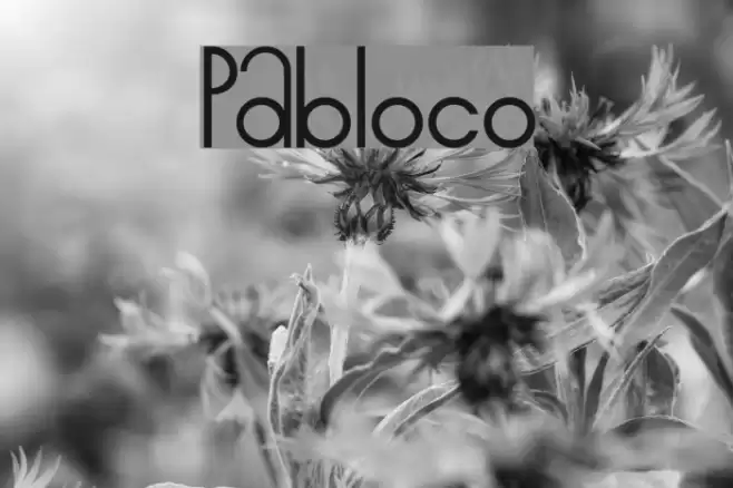 Pabloco Font examples