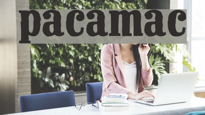 Pacamac Font examples