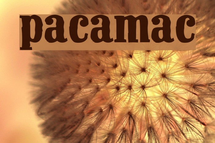 Pacamac Font examples
