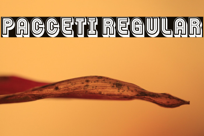 Pacceti Regular Example 2