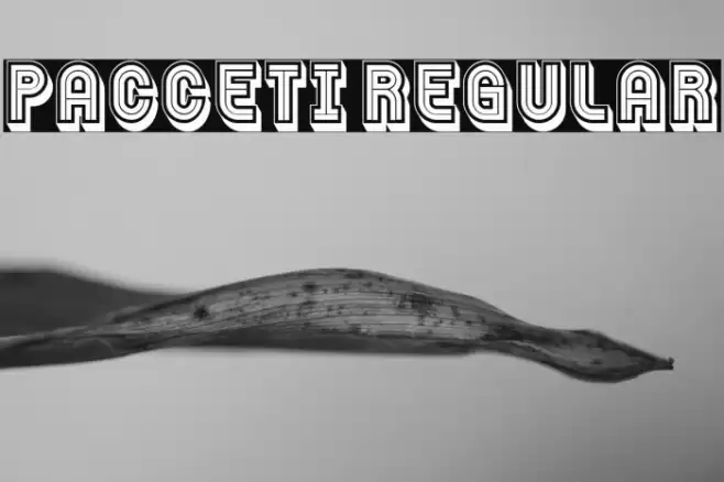 Pacceti Regular Font examples