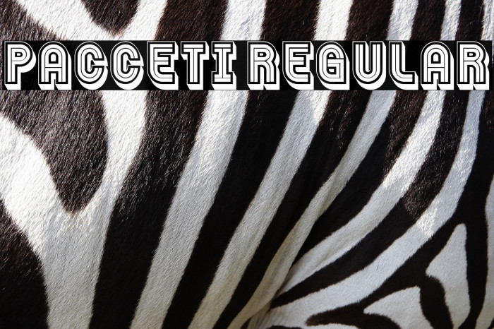 Pacceti Regular Example 3