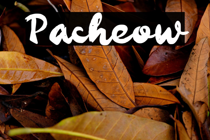 Pacheow Example 1