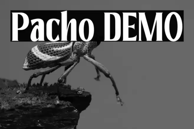 Pacho DEMO Font examples